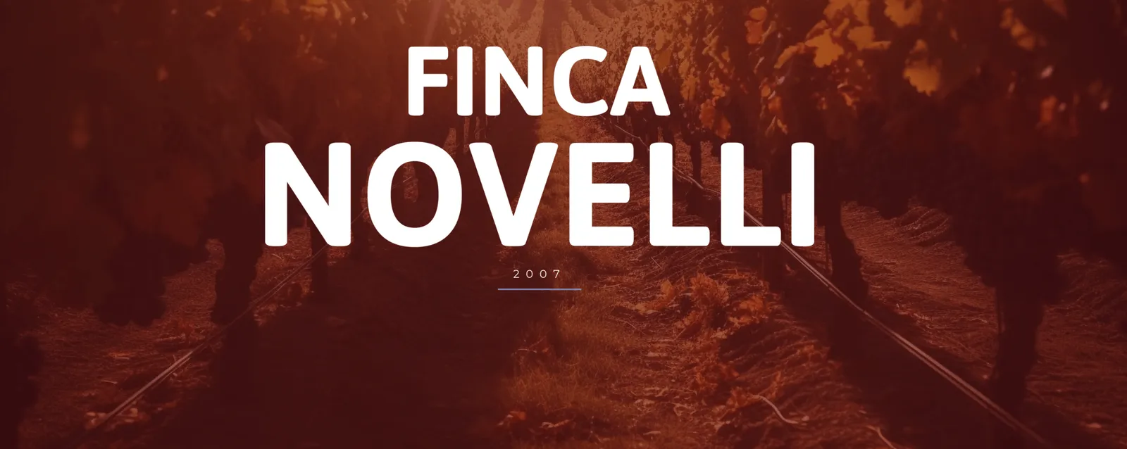 Finca Novelli: Vinos de alta calidad desde el corazón del Valle de Uco