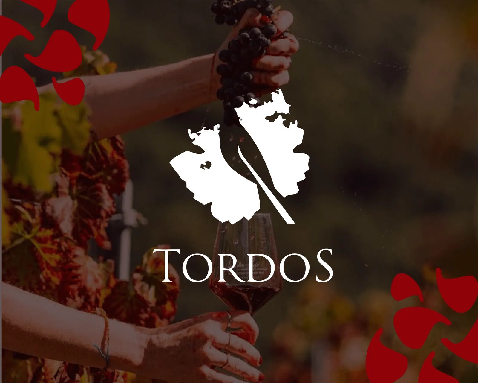 Los Tordos: la bodega de Cafayate que hace del vino un viaje
