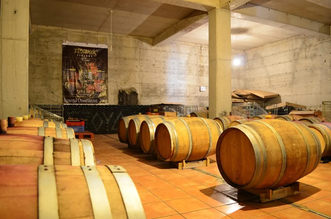 Comercio Justo en Vinos Argentinos: Transformando Vidas en los Viñedos