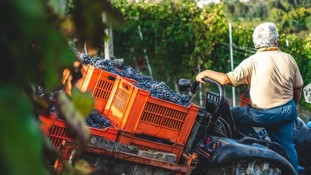 MAROTE Malbec: el Malbec de altura extrema que redefine a Jujuy