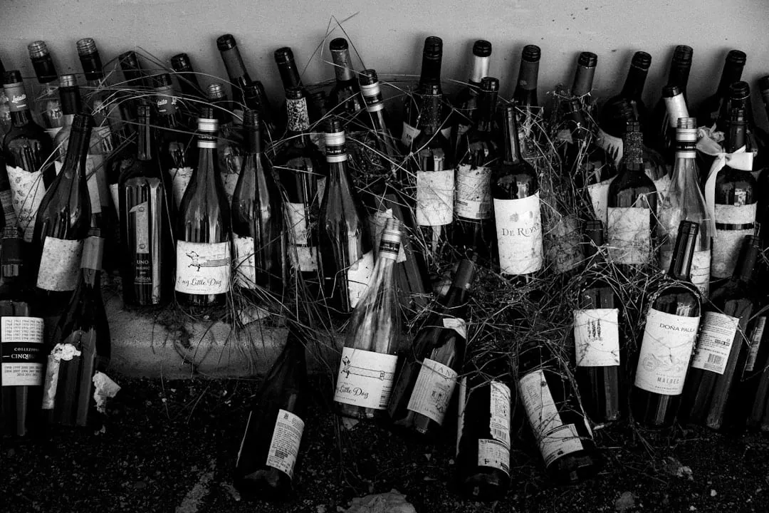 Cómo Construir una Cava Personal: De Principiante a Coleccionista Experto