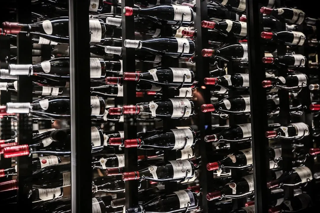 Cabernet Franc: La Joya Escondida de los Andes Argentinos