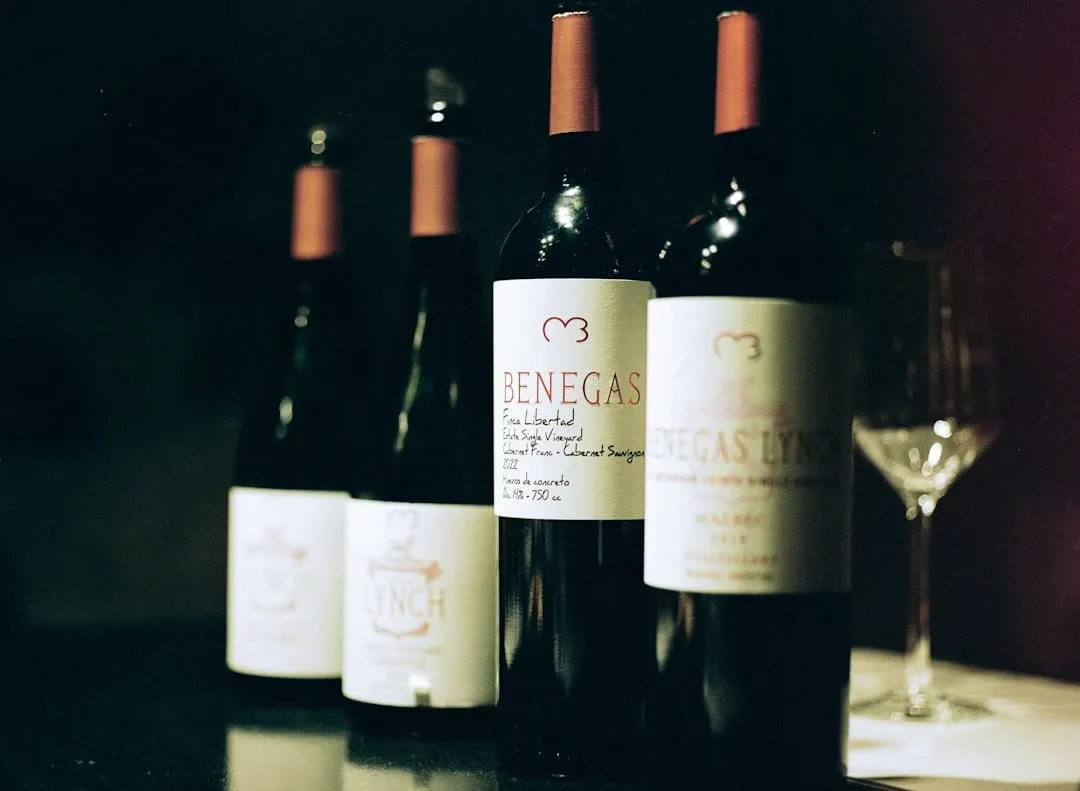 Presupuesto para Vino: Cómo Comprar Inteligentemente sin Sacrificar Calidad