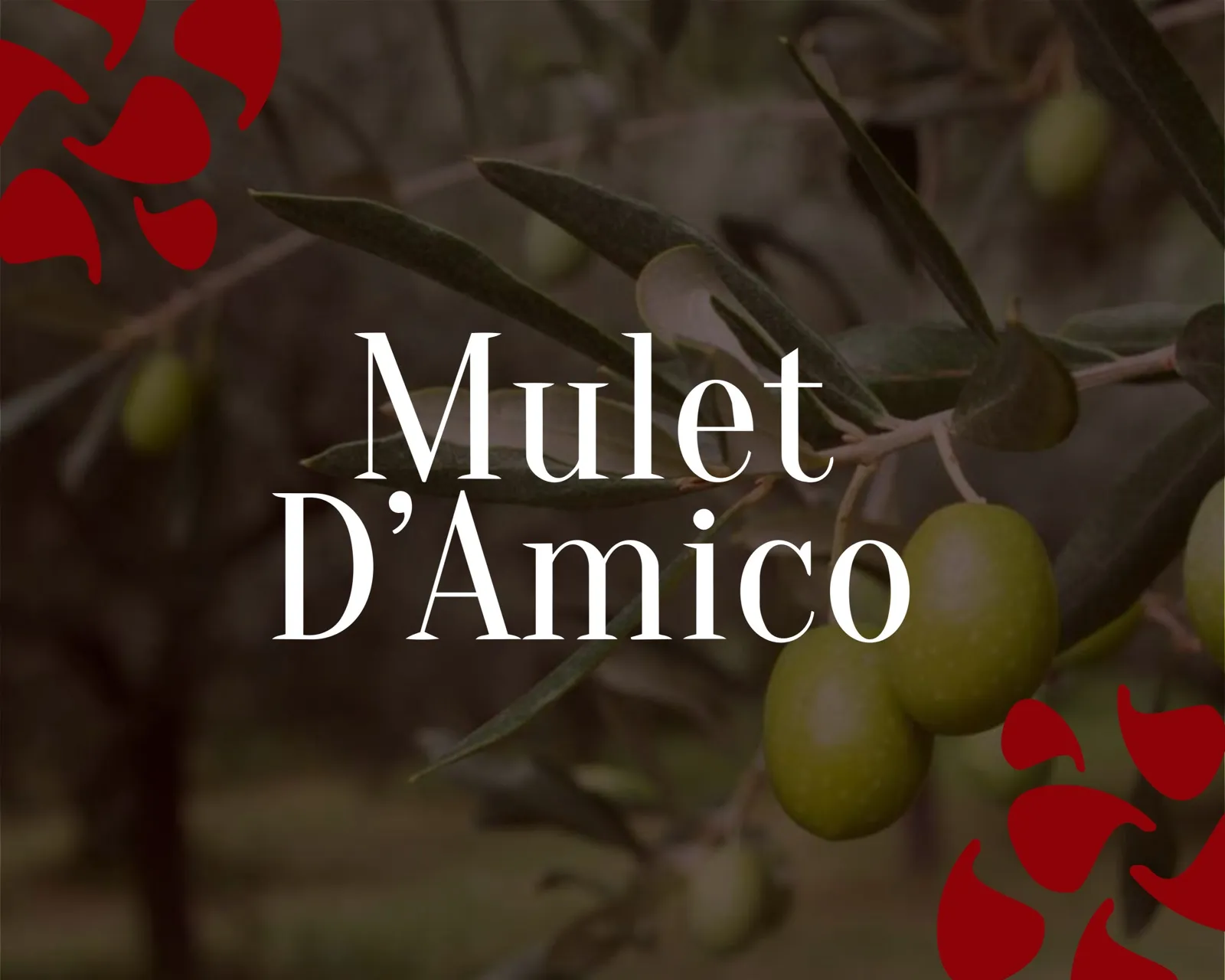 Mulet D'Amico, aceite de oliva virgen extra