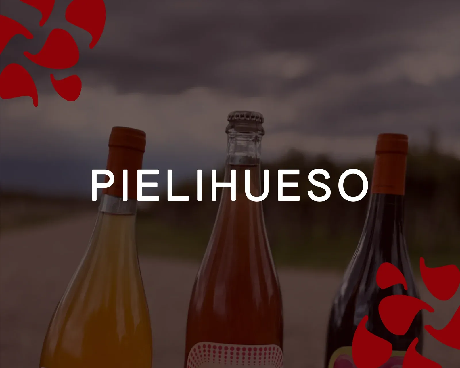 Pielihueso