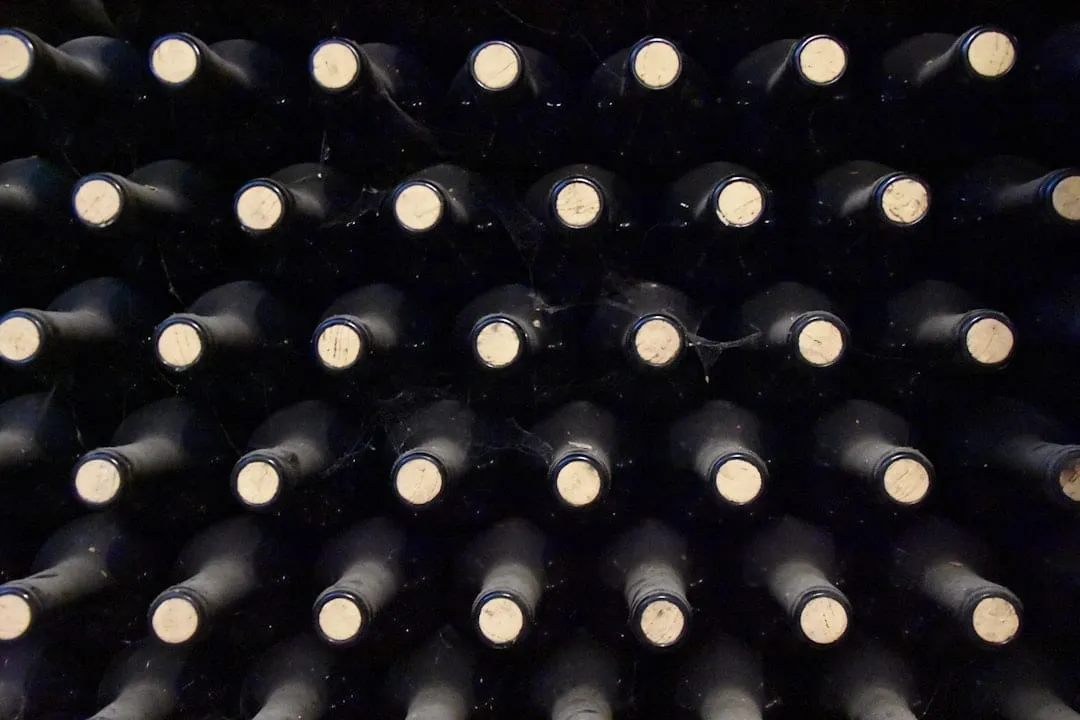Registrar tus Catas: La Clave para Desarrollar tu Paladar y Memoria del Vino
