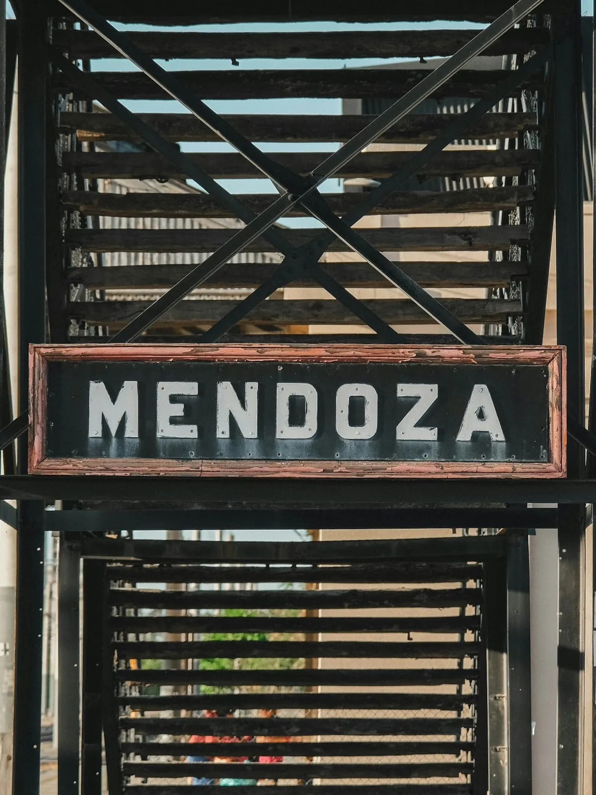 Viñedo en Mendoza