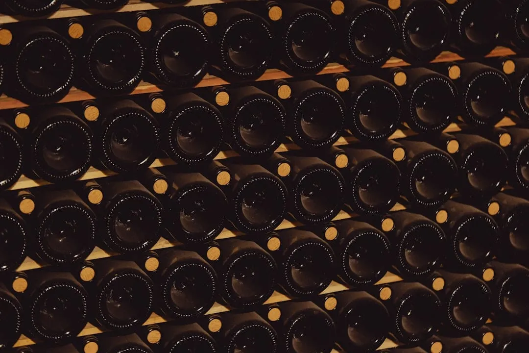 Vinos y Chocolate: Dominando el Arte del Maridaje Perfecto