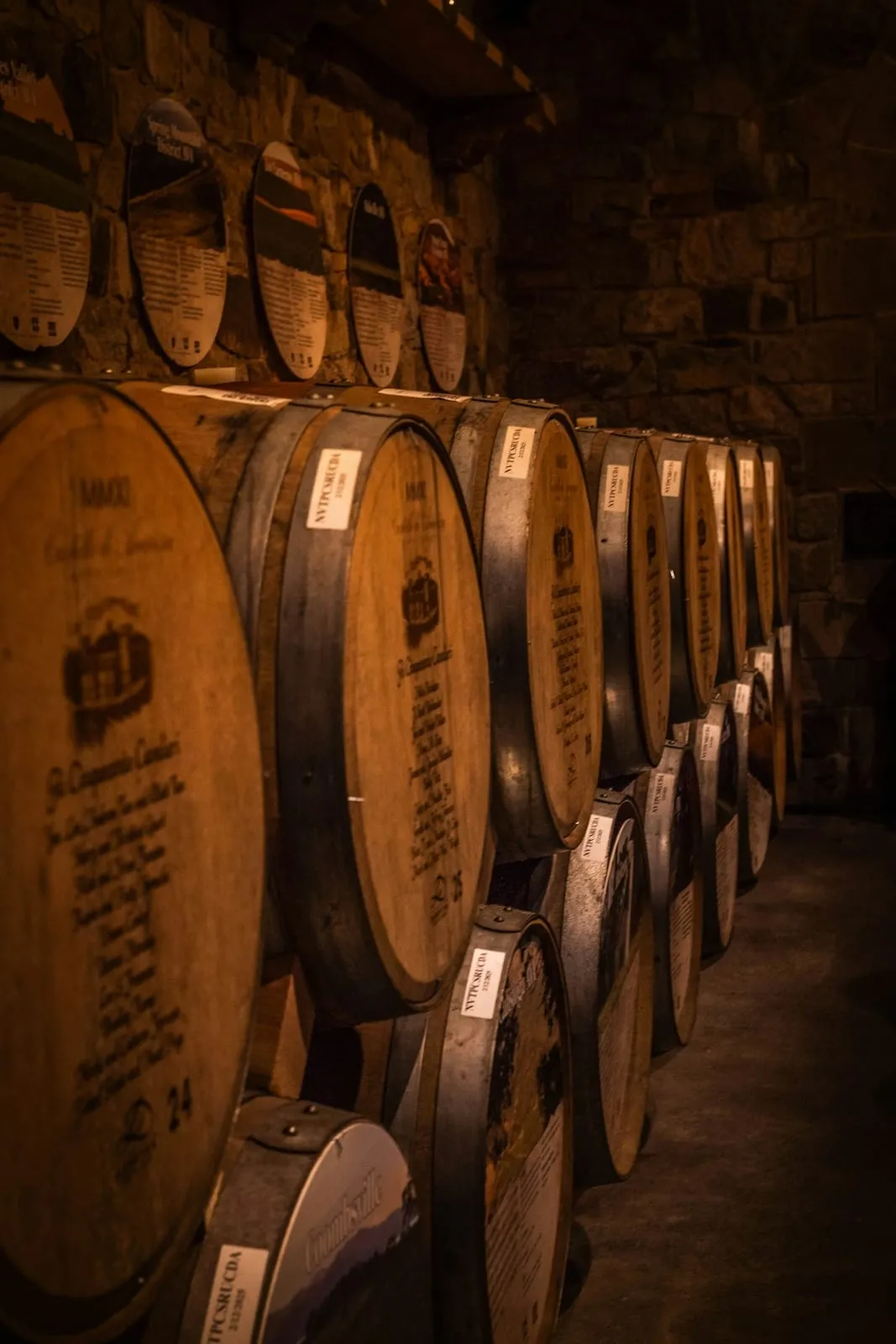 Vinos de Guarda Argentinos: Cómo Identificar Joyas que Mejoran con el Tiempo