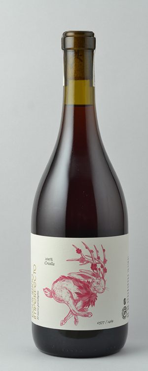 Equilibrio Imperfecto Criolla