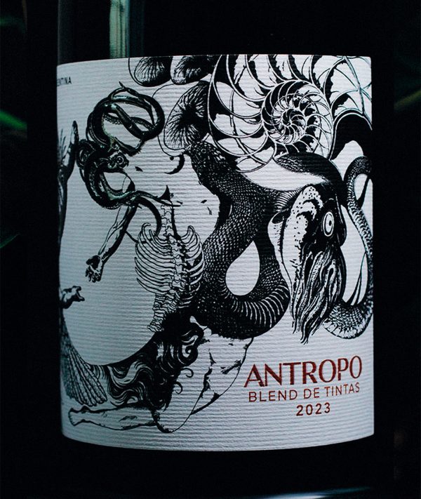 Antropo - Blend de Tintas 2024