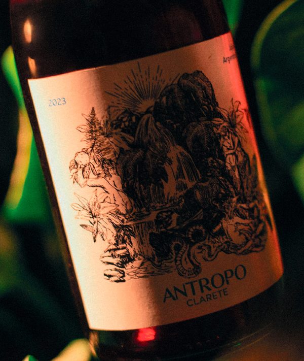 Antropo - Clarete