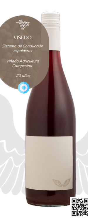 Guardianes - Bonarda