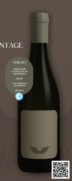 Guardianes - Cabernet Cabernet