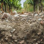 Suelos que hablan: sostenibilidad y nuevas filosofías productivas