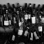 Cómo Construir una Cava Personal: De Principiante a Coleccionista Experto