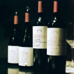 Maridaje Perfecto: Por Qué el Malbec y el Asado Argentino Son Almas Gemelas