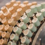 Mendoza: El Corazón Vitivinícola de Argentina – Historia y Diversidad en Cada Copa