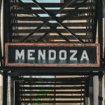 Tupungato: Altura y Elegancia en los Vinos de Mendoza