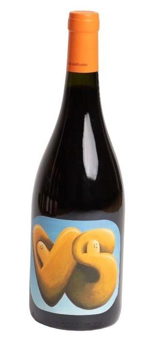 Pielihueso - VillaSeca